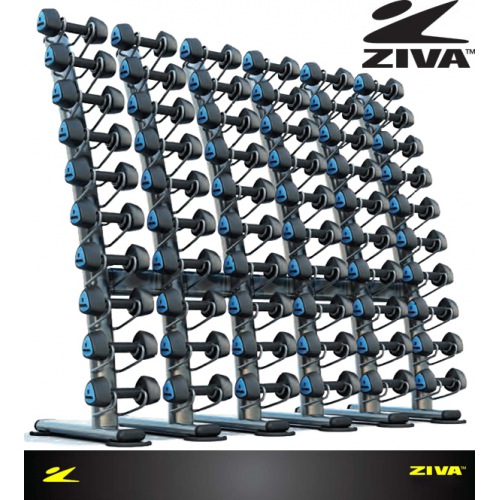 Стойка для гантелей ZIVA ZST-VS-6001